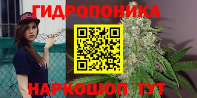 PSILOCYBIN Краснодар