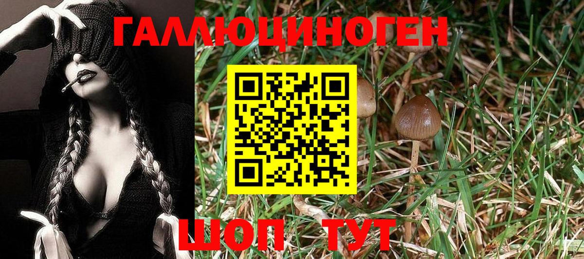 Псилоцибиновые грибы ЛСД Кирово-Чепецк
